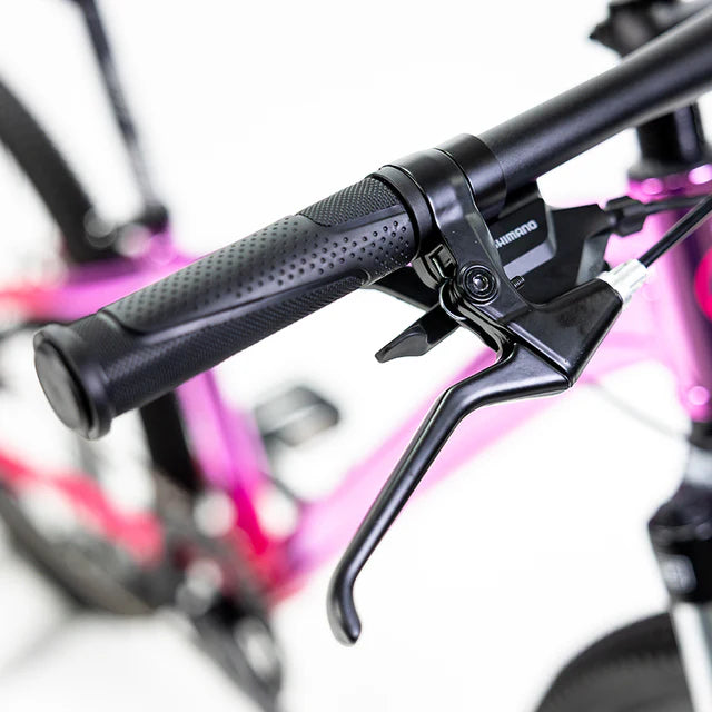 BICICLETA ALUBIKE SIERRA 24"