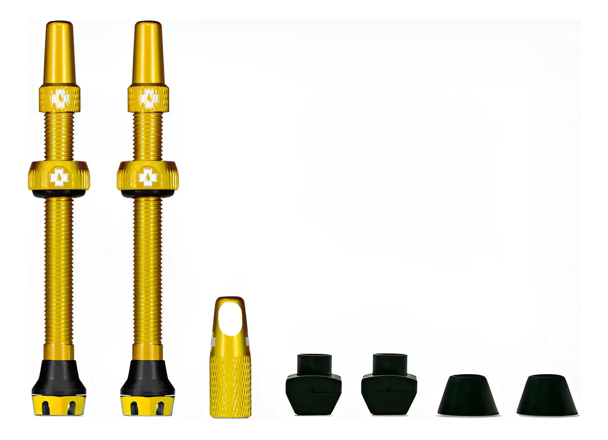 VALVULA TUBELESS