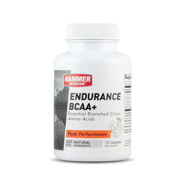 HAMMER BCAA++