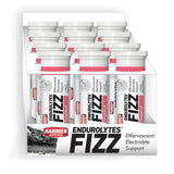 HAMMER ENDUROLYTES FIZZ (CAJA)