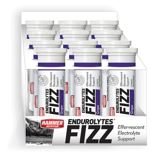 HAMMER ENDUROLYTES FIZZ (CAJA)