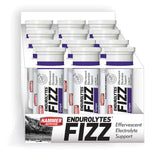 HAMMER ENDUROLYTES FIZZ (CAJA)