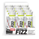 HAMMER ENDUROLYTES FIZZ (CAJA)
