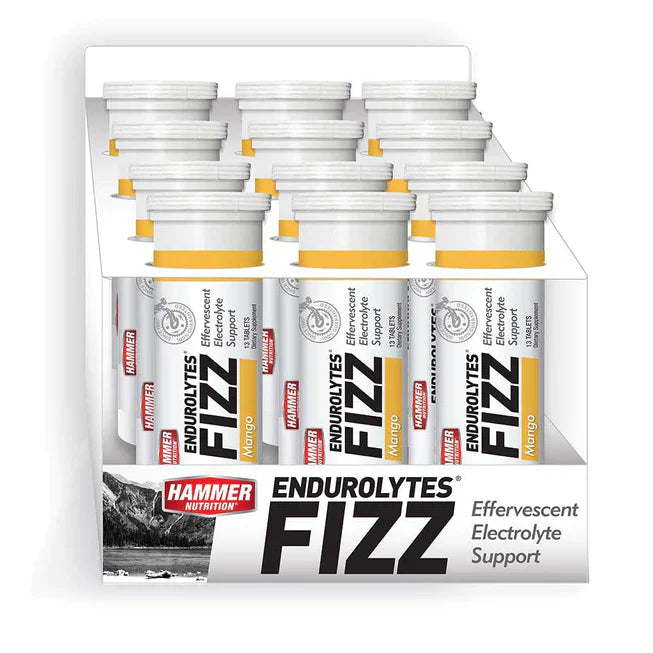 HAMMER ENDUROLYTES FIZZ (CAJA)