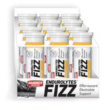 HAMMER ENDUROLYTES FIZZ (CAJA)