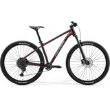 BICICLETA BIG NINE 200 CHERRY 2025 TALLA S